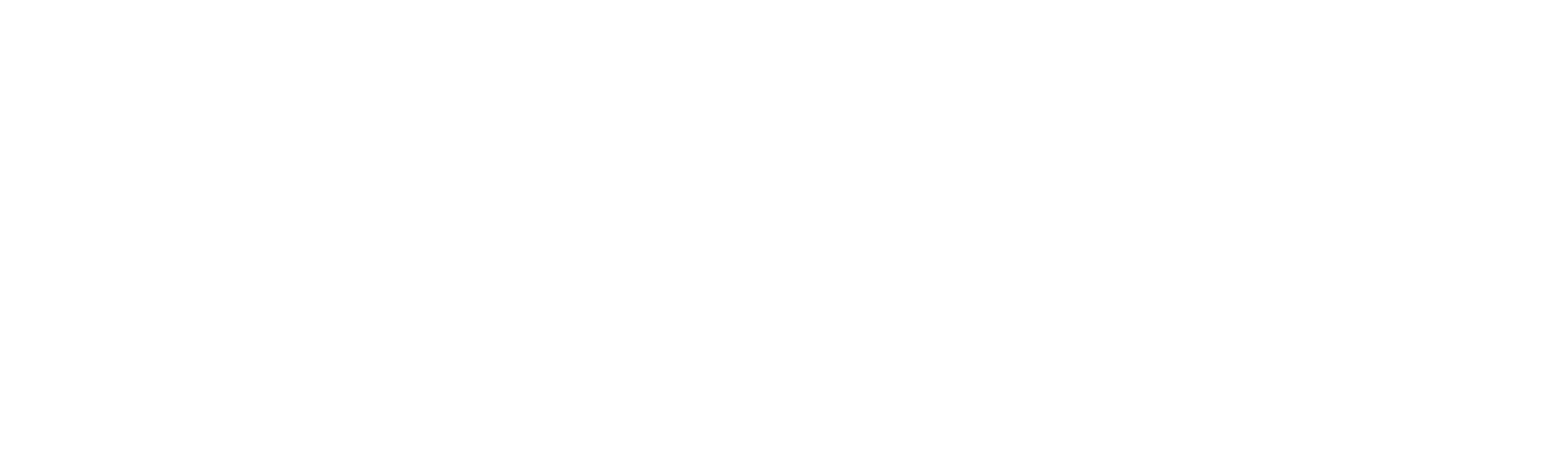 MikroPartner